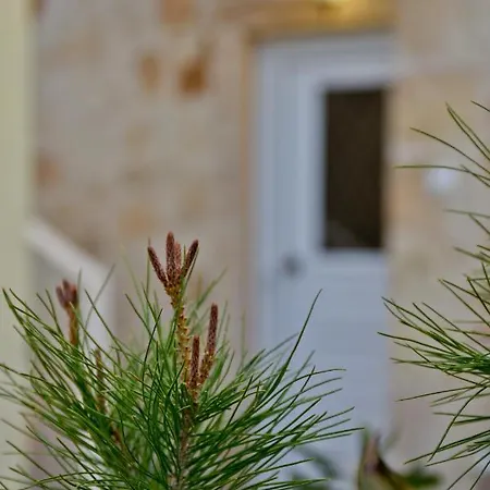 Evdokia Ii Prázdninový dům Makrýgialos